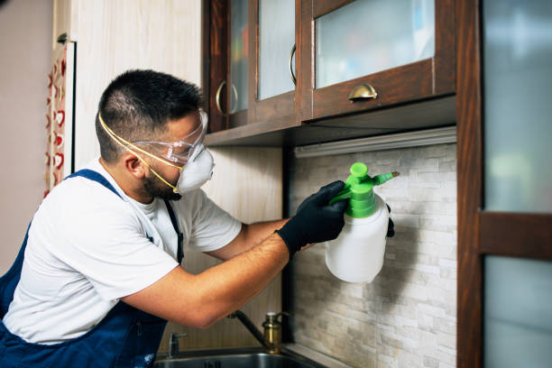 Best Residential Pest Control  in Aviston, IL