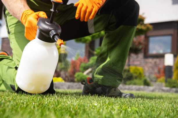 Best Best Pest Control Companies  in Aviston, IL