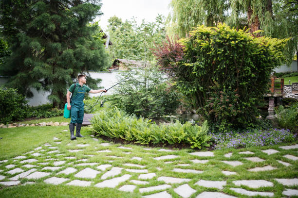 Best Residential Pest Control  in Aviston, IL