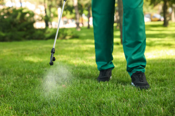 Best Flea Control Services  in Aviston, IL