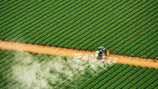 Best Mosquito Control Services  in Aviston, IL
