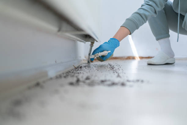 Pest Control Cost in Aviston, IL